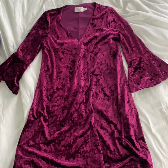 Velvet Dress - Picture 1 of 1